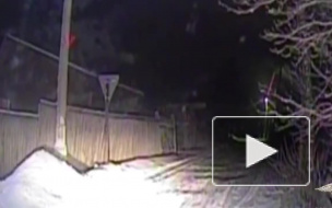 Красноярский край: полицейские спасли пятилетнюю девочку убежавшую из дома раздетой и босиком в мороз