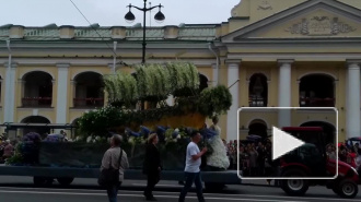 На Фестивале цветов в Александровском саду победу одержала «Радуга жизни»