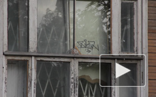 Дыхание Петербурга: новости последней недели июля