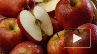 Диетолог назвал опасность яблок для некоторых людей