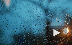 Санкт-Петербург побил собственный рекорд по дождливости