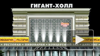 Петербургская ритуальная компания открестилась от драки в Гигант-Холле