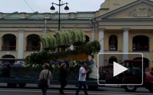 На Фестивале цветов в Александровском саду победу одержала «Радуга жизни»