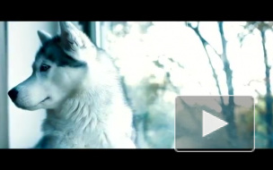 Вера Полозкова презентовала дебютный клип