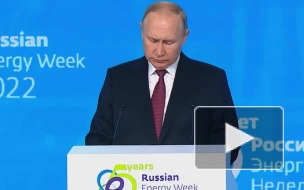 Путин высказался насчет ремонта поврежденных ниток "Северного потока"