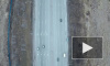 ПМЭФ закроет Петербургское шоссе для грузовиков: как объезжать