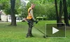 Видео: в Выборге косят газоны в парках и скверах