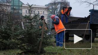 Деревья и кустарники в парке Авиаторов подготовили к зиме