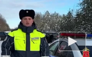 В лобовом столкновении под Тихвином погиб ребенок и двое взрослых
