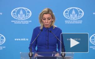 Россия отвергла претензии Японии по поводу приезда главы МЧС на Курилы