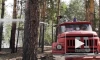 Площадь лесного пожара в Алтайском крае выросла до 4,2 тыс. га