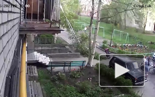 В Петрозаводске дерево упало на женщину