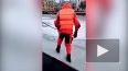 На акватории Малой Невы с льдины спасли кота