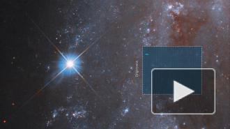 Таймлапс с телескопа Хаббл показал взрыв звезды в небытие