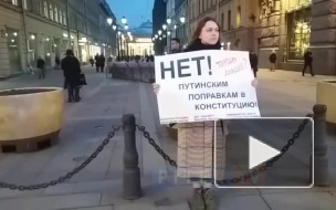 В центре Петербурга прошел одиночный пикет против поправок в Конституцию
