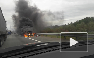 В районе Левашово рядом с автозаводом загорелась иномарка 