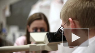 Комиссия РАН потребовала от Минздрава обнародовать экспертизы лекарств