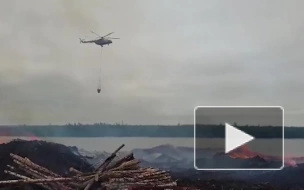 В Приангарье локализовали пожар на штабелях древесины