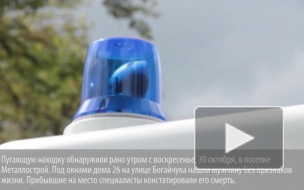 Жителя Металлострая нашли разбившимся насмерть около собственного дома