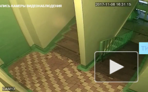 Видео: в Челнах три девочки скинули кошку с 14-го этажа