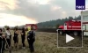 Пожар в лесничестве в Ростовской области охватил более 200 гектаров