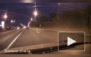 На Московском шоссе лось чуть не спровоцировал ДТП