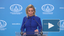 Японский политолог призвал отобрать у России все Южные Курилы