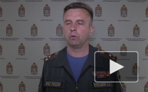 МЧС прокомментировало ситуацию с лесными пожарами в Ленинградской области