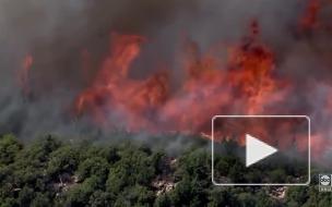Жители жители Аризоны эвакуируются из-за природных пожаров