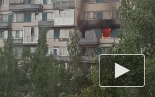 Видео: ночью на Кораблестроителей горела комната