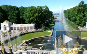 В Петергофе фотосъемка может стать бесплатной 