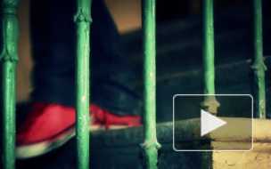 В Петербурге педофил заставил 11-летнюю девочку фотографироваться голой, а затем выложил снимки в Интернет