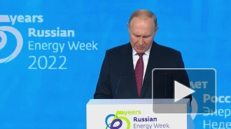 Путин описал ситуацию на мировом нефтегазовом рынке цитатой Фридмана