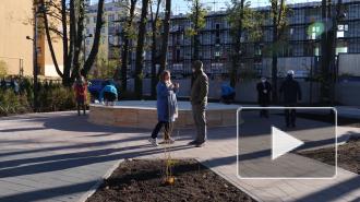 На Васильевском острове откроется новое общественное пространство