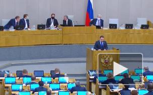 ГД поддержала штрафы за незаконное использование пресс-карт на митингах