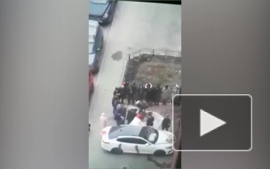 В Петербурге возбудили дело после убийства барана во дворе многоэтажки