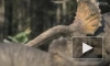 Вышел трейлер второго сезона "Доисторической планеты" — сериала про динозавров от Apple