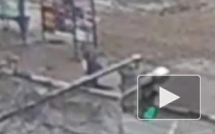 Видео: мужчина провалился под землю в Ярославле