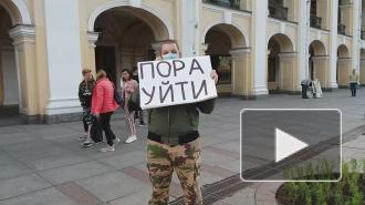 Вместо "Галереи" протесты против поправок в Конституцию растянулись по Невскому