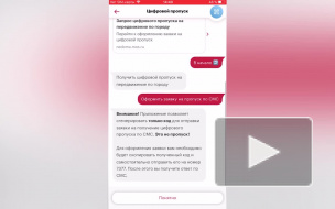 Раскрыт принцип действия рабочих пропусков в регионах России