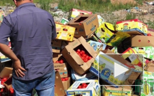 В России продлили режим уничтожения санкционных товаров