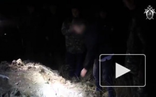 Опубликовано видео с места, где в Крыму отчим спрятал тело убитой 5-летней падчерицы