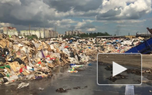 На Малой Балканской находится огромная зловонная свалка 