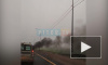 Видео: на Мурманском шоссе загорелся автомобиль