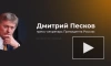 Песков назвал "послание" Шольца Путину линией на продолжение конфликта