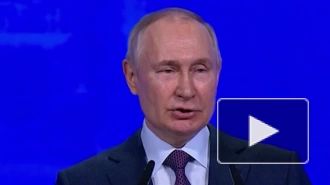 Путин оценил компании, оставшиеся в России