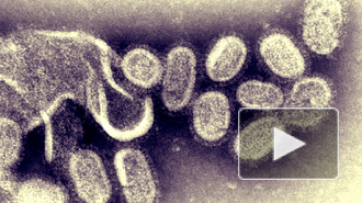 37 тысяч петербуржцев заболели гриппом на прошлой неделе