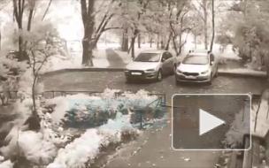 Момент падения дерева на Mitsubishi Lancer попал на видео