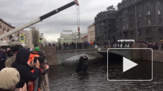 Видео из Санкт - Петербурга: На набережной Крюкова канала доставали затонувшую иномарку