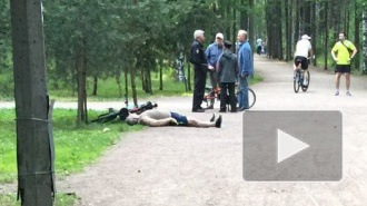 В парке Сосновка обнаружили труп велосипедиста 
